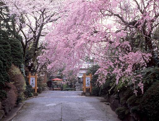Отель Gyokutei Хаконе Экстерьер фото